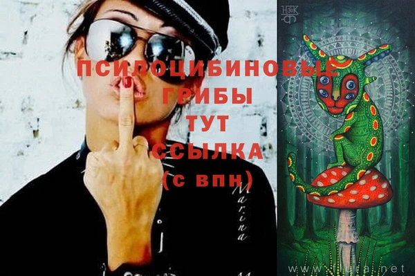 мяу мяу мука Россошь