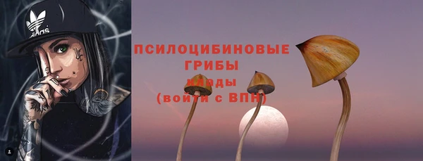 молекула духа Белокуриха