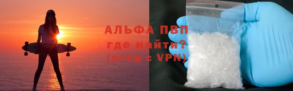 стафф Беломорск