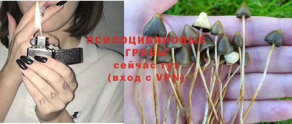 MESCALINE Богданович