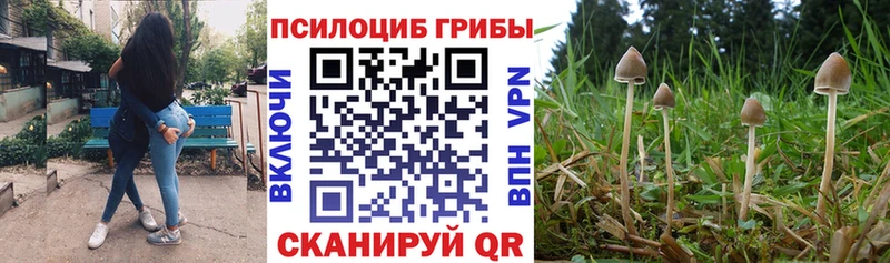 Галлюциногенные грибы прущие грибы  цена наркотик  Тосно 